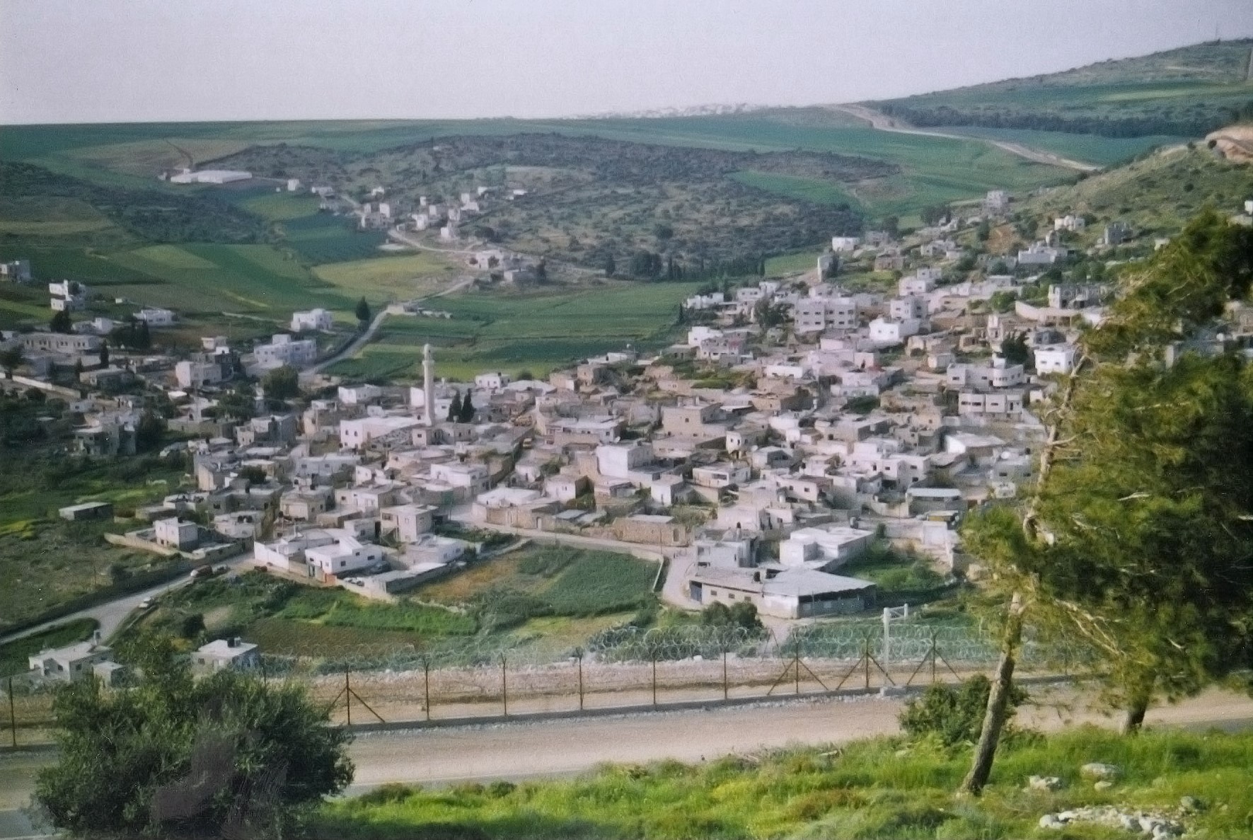 منظر عام لقرية جلبون